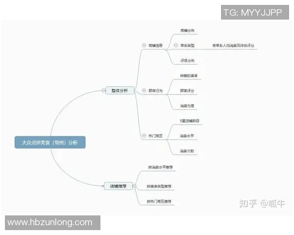 杭州网球队在挑战赛中的团队协作表现分析与点评